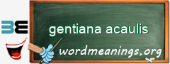 WordMeaning blackboard for gentiana acaulis